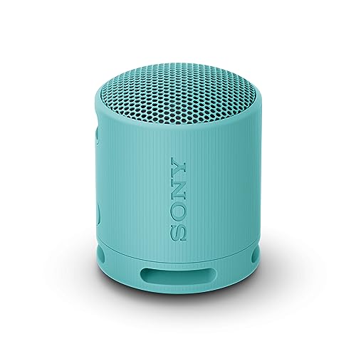 Sony SRS-XB100