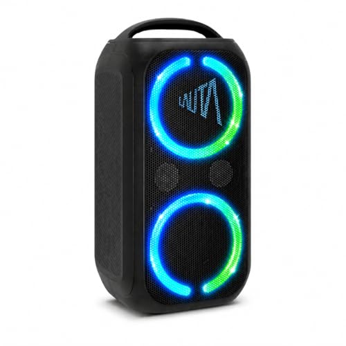 Technisat Lauta Wummsbox