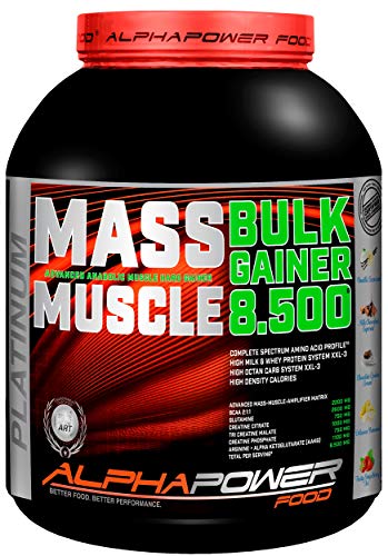 Alphapower Food Bulk-Whey Gainer