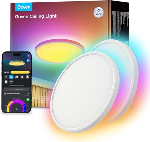 Govee Stropna Svetilka H60A1